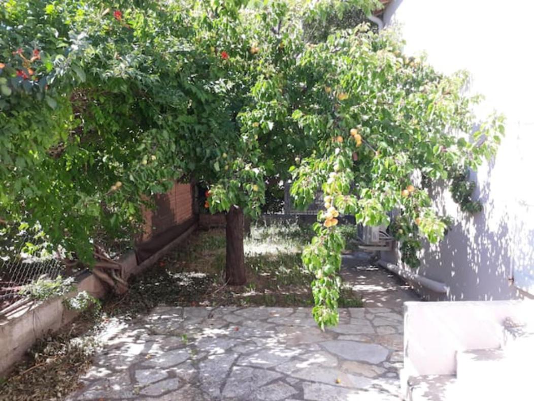 Le Galli En Plein Coeur De Sanary Экстерьер фото